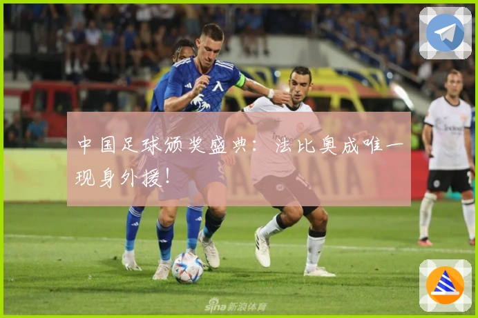 中国足球颁奖盛典:法比奥成唯一现身外援!