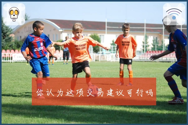 你认为这项交易建议可行吗