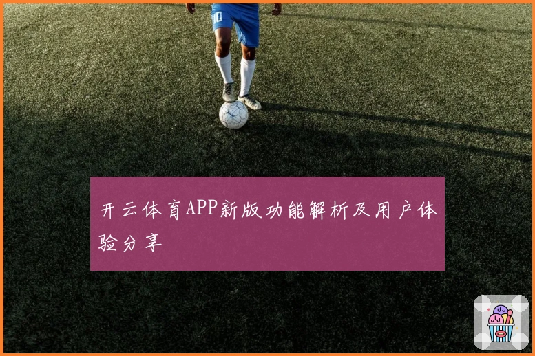 开云体育APP新版功能解析及用户体验分享